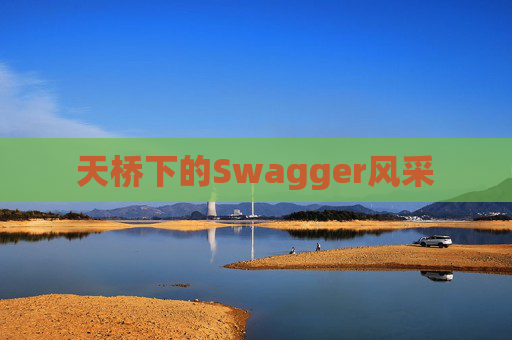 天桥下的Swagger风采